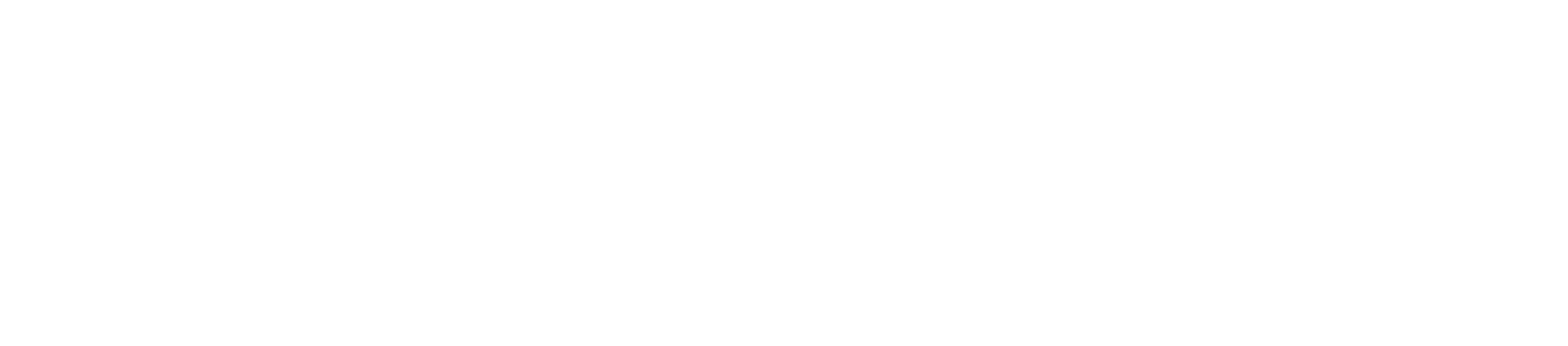 Area Specialist Rapid